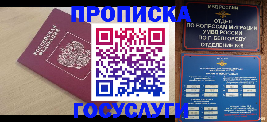 прописка законно в Волхове